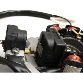 Μανιατό 12V AC Με 5 Καλώδια OEM QUALITY Για Minarelli 50